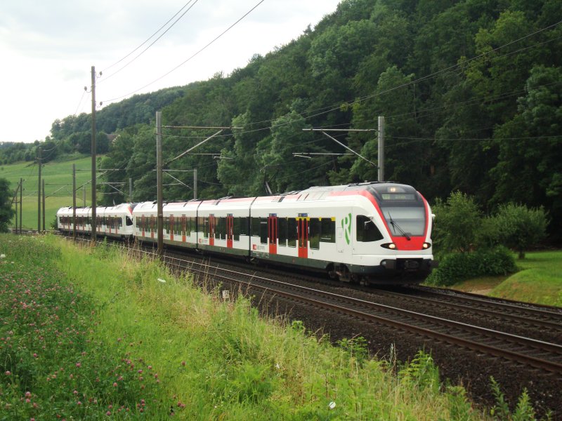 Zwei RABe 521  als S 3 auf dem Weg nach Olten am 08.06.2008 bei Tecknau.