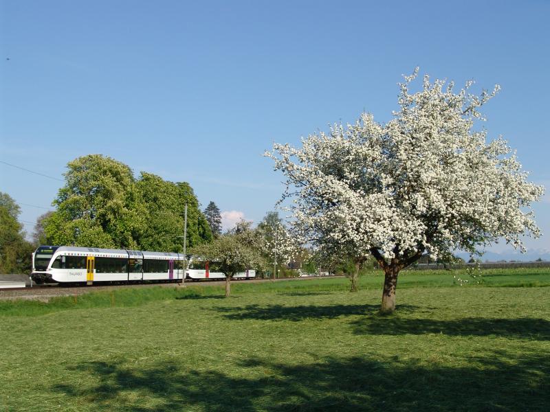 Zwei RABe 526 am 1.5.05 in Uttwil