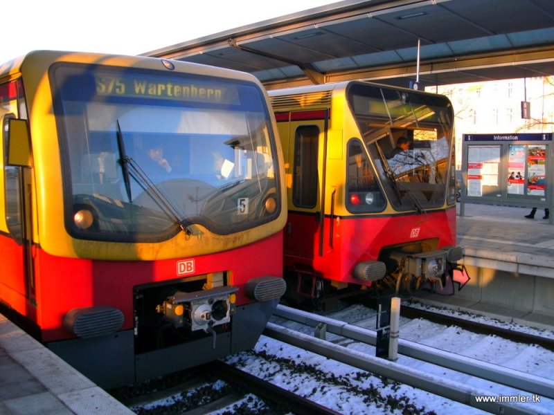 Zwei Züge der S-Bahn Berlin (Baureihen 481 und 480) in traditioneller Lackierung in der Morgensonne im Bahnhof Berlin Charlottenburg (12.01.2009).