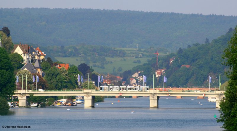 Zwischen Betriebshof und Jahnstr in Heidelberg, hatt man diese Fotografiermglichkeit 2.5.09