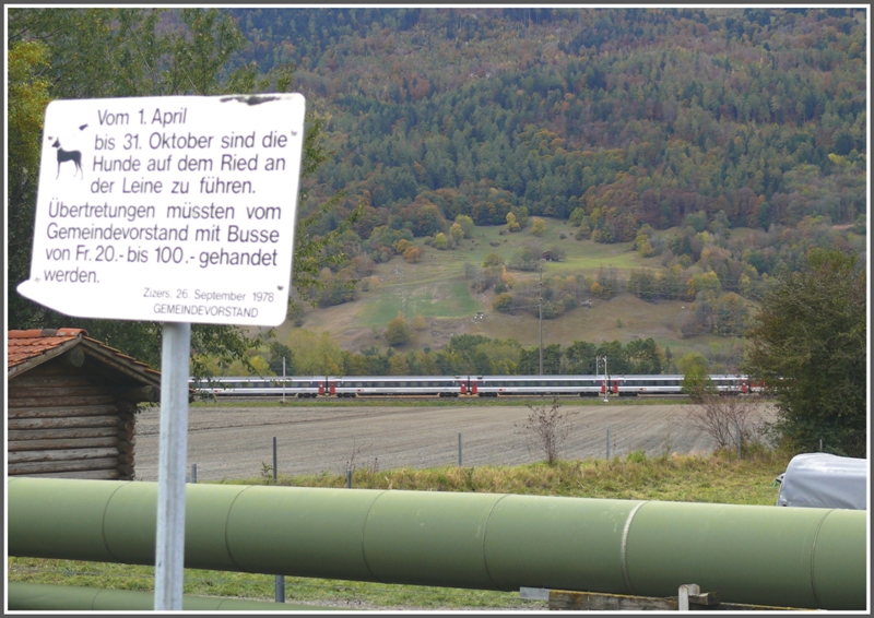 Zwischen Igis und Zizers am Bahnbergang der RhB steht seit 1978 dieses Schild. Was mich neben dem EC der SBB im Hintergrund mehr fasziniert hat ist der Schreibfehler  gehandet statt geahndet  und dass der Gemeindevorstand die Busse verhngen msste, vermutlich je nachdem um wessen Hund es sich handelt. (25.10.2009)