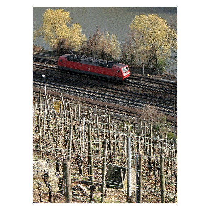 Zwischen Neckar und Weinberg -
Eine Lok der BR 120 allein unterwegs im Neckartal zwischen Esslingen und Mettingen. 

18.12.2008 (M)