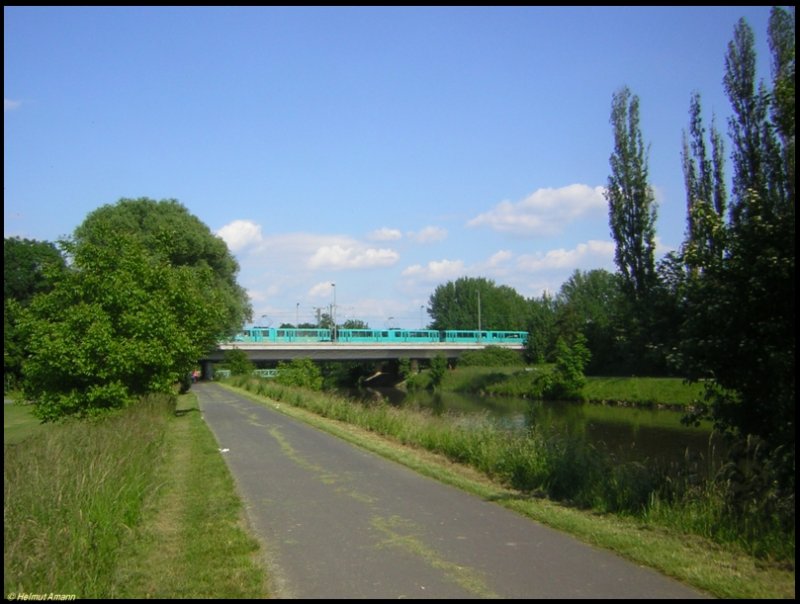 Zwischen den Stationen Niddapark und Rmerstadt kreuzt die Trasse der Linie U1 am Ginnheimer Wldchen die Nidda, die Aufnahme vom 08.06.2006 zeigt einen Dreiwagenzug mit U2e-Triebwagen auf der Fahrt zum Sdbahnhof beim berqueren der Niddabrcke.
  