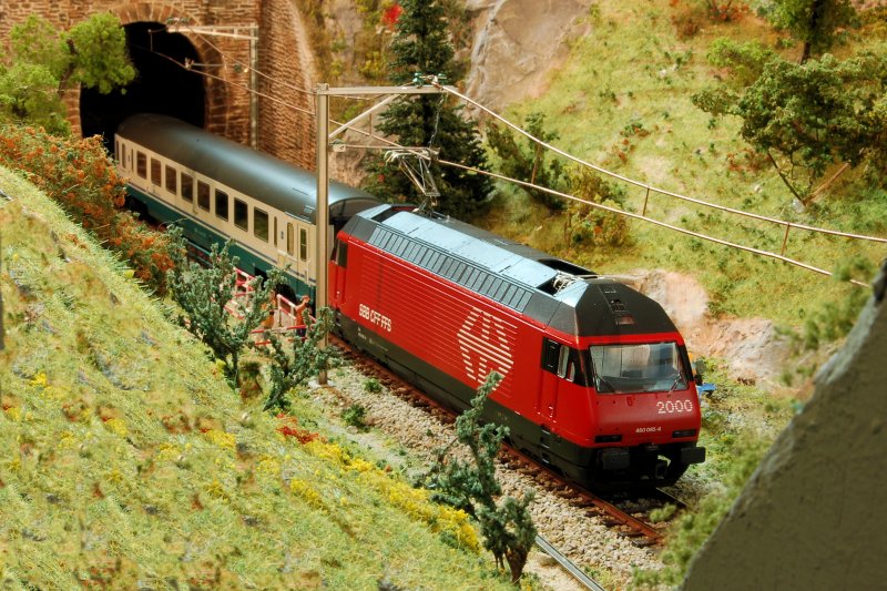 Zwischen den Tunneln Stecke Dhringen am Thuner See CH